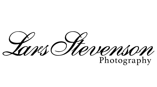 Larsactionhero logo
